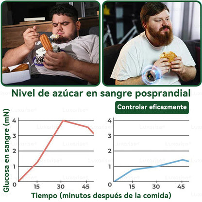 𝑻𝒊𝒆𝒏𝒅𝒂 𝑶𝒇𝒊𝒄𝒊𝒂𝒍  | ❤️❤️𝑳𝒖𝒙𝒂𝒓𝒊𝒔𝒆® 10 𝑬𝑵 1 𝑴𝒐𝒓𝒊𝒏𝒈𝒂 𝒀 𝑩𝒆𝒓𝒃𝒆𝒓𝒊𝒏𝒂 𝑷𝒂𝒓𝒄𝒉𝒆 𝑨𝒗𝒂𝒏𝒛𝒂𝒅𝒐 𝑫𝒆 𝑴𝒊𝒄𝒓𝒐𝒏𝒆𝒆𝒅𝒍𝒆𝒔 𝑵𝒂𝒏𝒐（𝑼𝒏𝒂 𝒗𝒆𝒛 𝒂𝒍 𝒅í𝒂, 𝒄𝒂𝒎𝒃𝒊𝒐𝒔 𝒗𝒊𝒔𝒊𝒃𝒍𝒆𝒔 𝒆𝒏 7 𝒅í𝒂𝒔） ✅ 𝑶𝒃𝒆𝒔𝒊𝒅𝒂𝒅, 𝑫𝒊𝒂𝒃𝒆𝒕𝒆𝒔, 𝑨𝒑𝒏𝒆𝒂 𝒅𝒆𝒍 𝑺𝒖𝒆ñ𝒐 𝒚 𝑷𝒓𝒐𝒃𝒍𝒆𝒎𝒂𝒔 𝑨𝒓𝒕𝒊𝒄𝒖𝒍𝒂𝒓𝒆𝒔